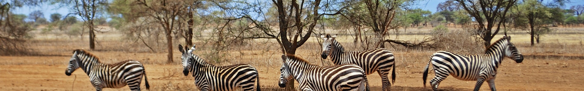 Circuits au Kenya - TUI France