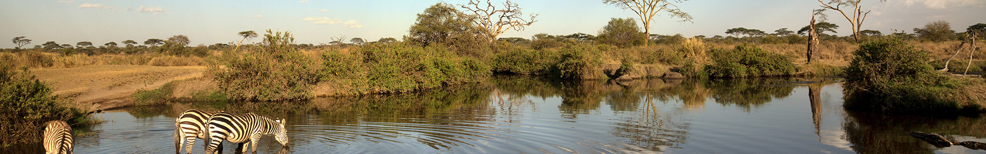 Circuits en Tanzanie - TUI France