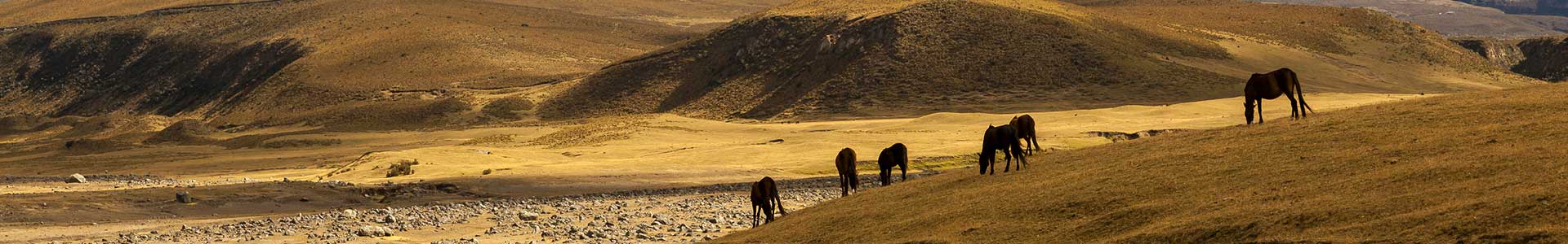Voyage en Equateur - TUI