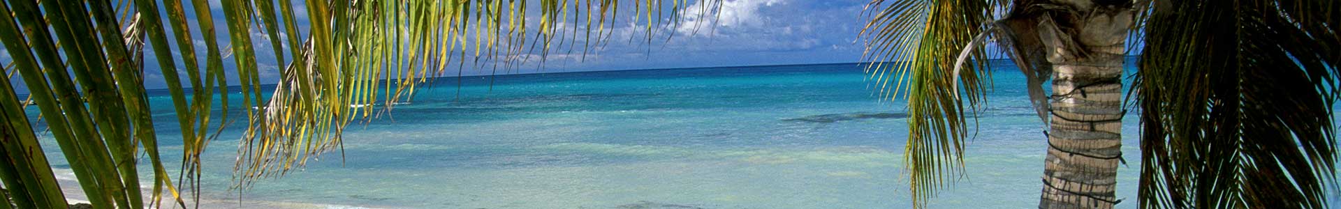Voyage à Aruba - TUI