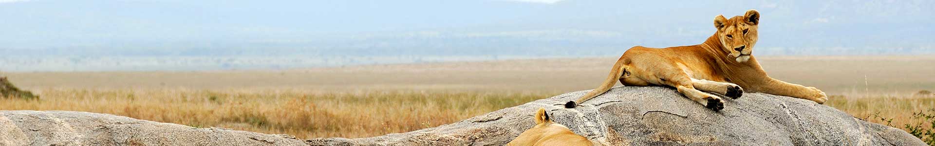 Voyage en Tanzanie - TUI