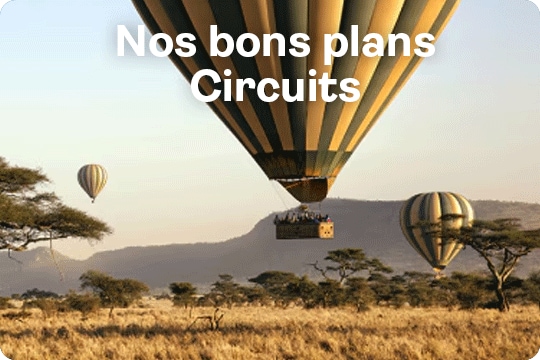 Toute notre offre