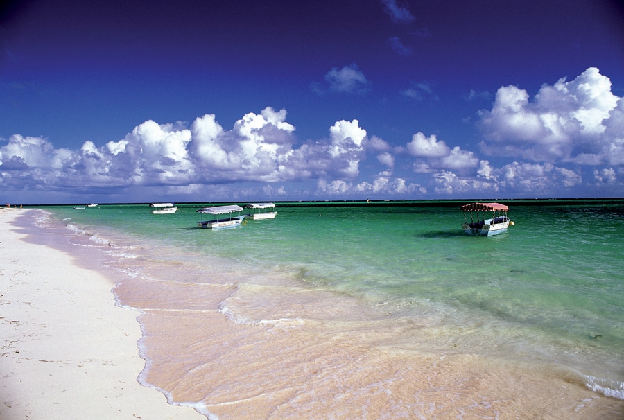 Vol Punta Cana - Playa Bavaro - TUI