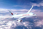 United, Air Canada, Brussels, Austrian, Lufthansa, Swiss - TUI
